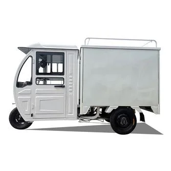 Saige Electric Truck Tricycle for Express Delivery