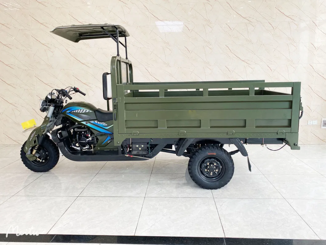 Motorcycle Tricycle High Quality 3 Wheel Cargo Tricycle for Adult