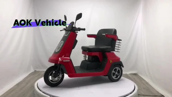 500W /1000W 60V/ 48V Fat Tire Scooter eléctrico de tres ruedas y un asiento, vehículo eléctrico, triciclo eléctrico para pasajeros o discapacitados