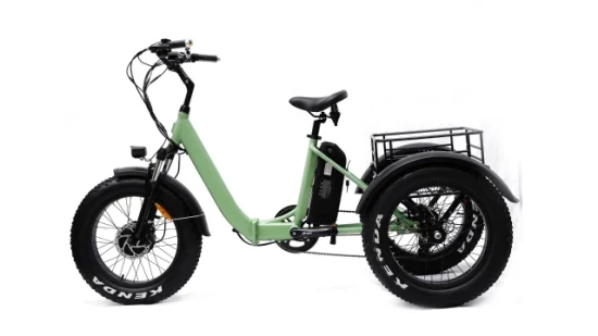 Triciclo eléctrico profesional de Ebike de carga eléctrica de 3 ruedas con motor de fábrica de 500W