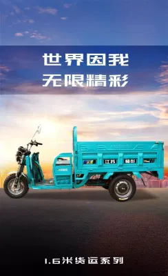 Triciclo de pasajeros para adultos Rickshaw eléctrico de fábrica de China