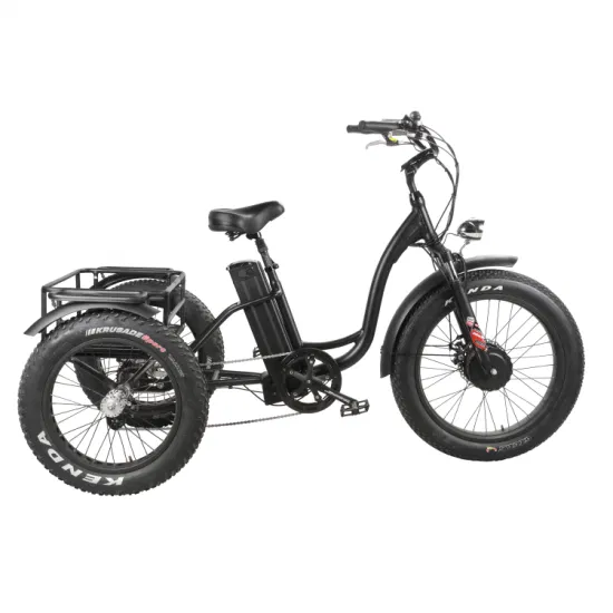 Bicicleta de carga eléctrica de tres ruedas, triciclo eléctrico con Motor de cubo delantero de 48V y 500W, triciclo con neumáticos gruesos de 20 pulgadas y 4,0 con cesta