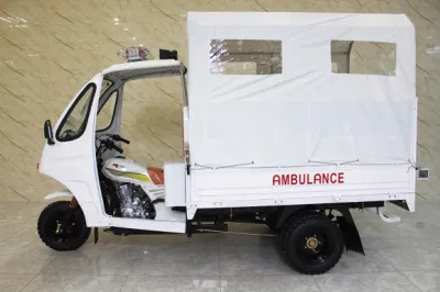 Costom Triciclo de gasolina para pasajeros, ambulancia, GNC, Auto Rickshaw, 200cc, triciclo de 3 ruedas para Afganistán