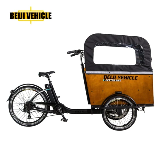 Gran oferta de bicicleta eléctrica con motor de 250W y 3 ruedas, bicicleta de carga eléctrica con caja de madera, triciclo para llevar a niños y mascotas