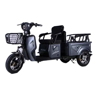 Triciclo eléctrico para pasajeros de 48V y 500W