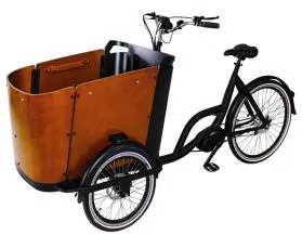 Mediados de triciclo eléctrico de la bici del cargo del motor 250W con la bici holandesa de la caja de madera