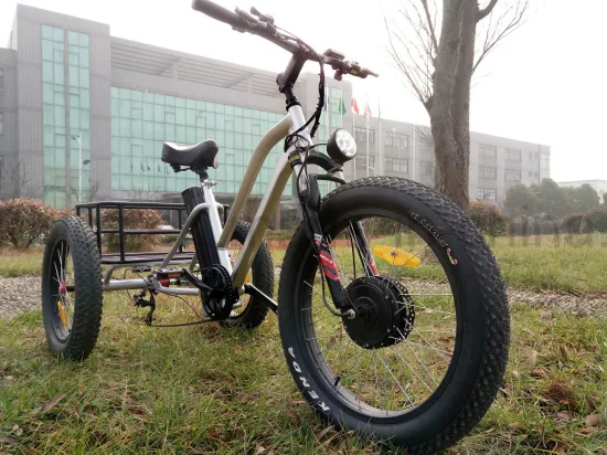 Carga del triciclo eléctrico del neumático gordo de tres ruedas para el crucero de la playa